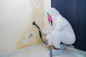 Best Asbestos and Lead Testing During Mold Inspection  in Robins, IA